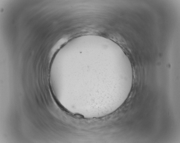 X0000070390003200606301958