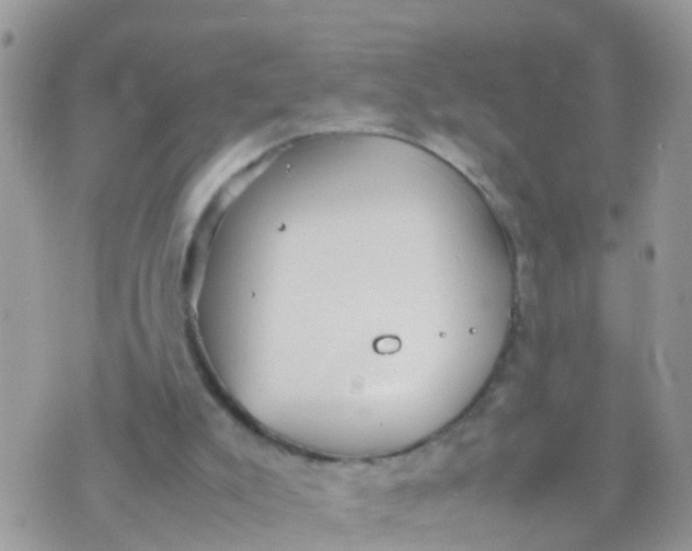 X0000070390007200606301958