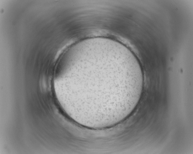 X0000070390010200606301958