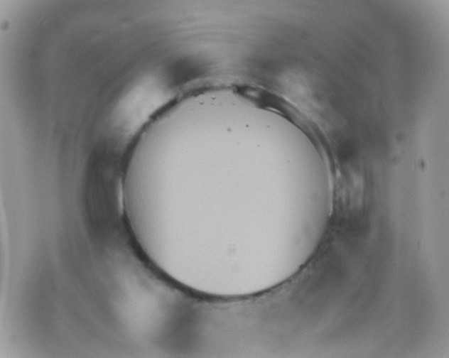 X0000070390013200606301958