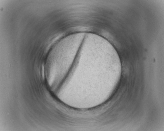 X0000070390014200606301958