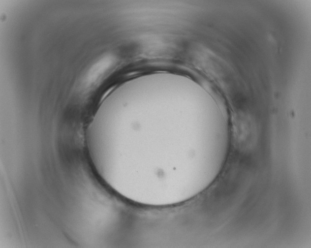 X0000070390017200606301957