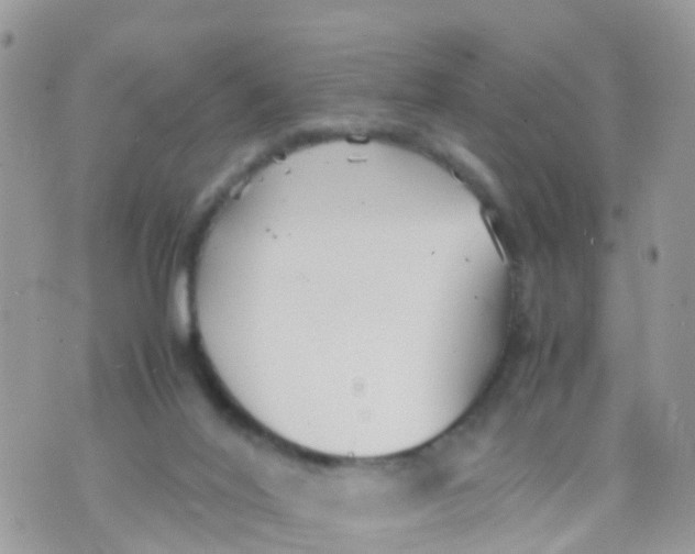 X0000070390020200606301957