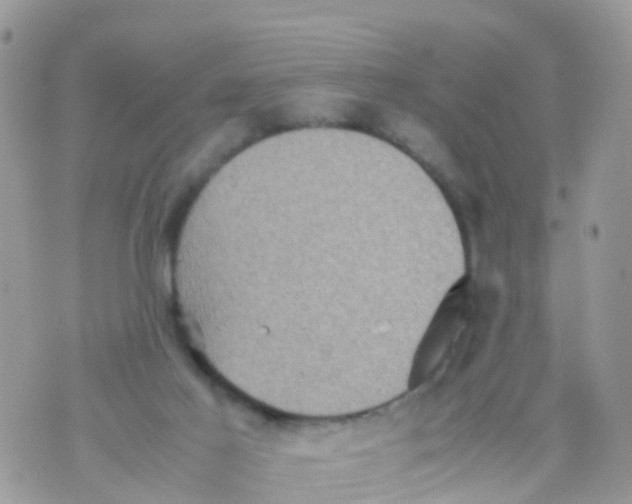 X0000070390021200606301957