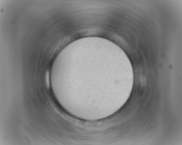 X0000070390022200606301957