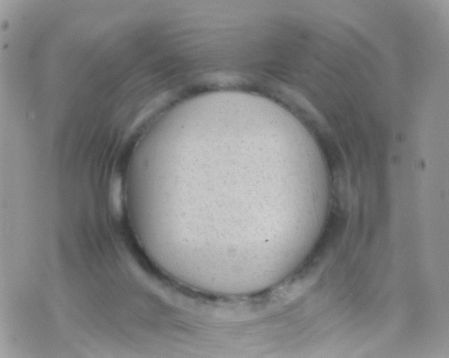 X0000070390024200606301957