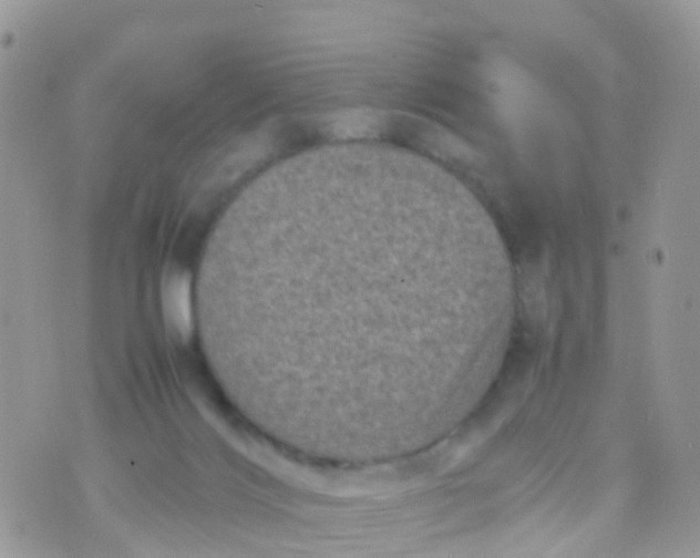 X0000070390028200606301957