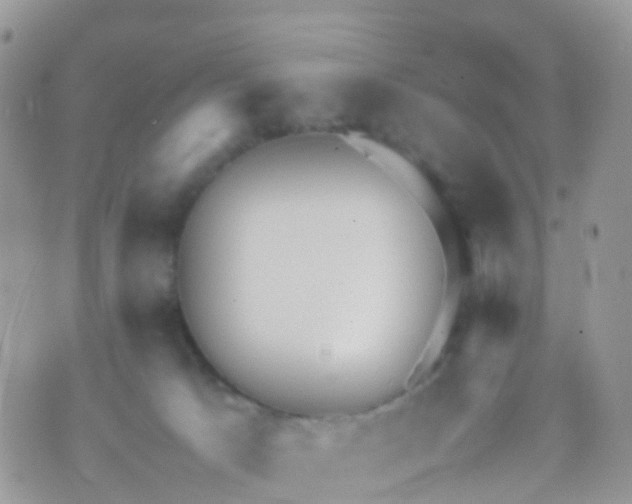 X0000070390033200606301957