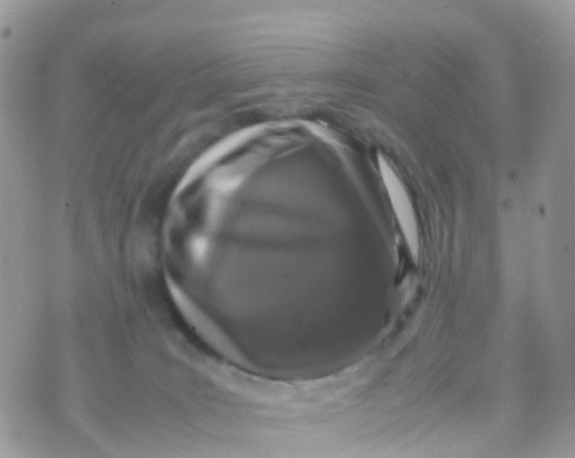 X0000070390035200606301957