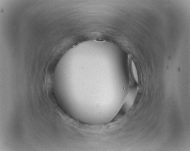 X0000070390037200606301957