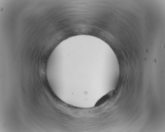 X0000070390040200606301957