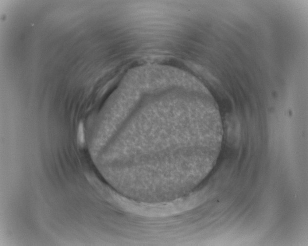 X0000070390042200606301957