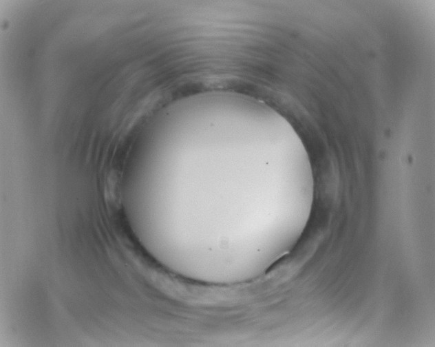 X0000070390044200606301957