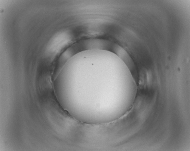 X0000070390045200606301957