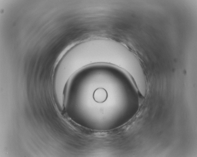 X0000070390052200606301956