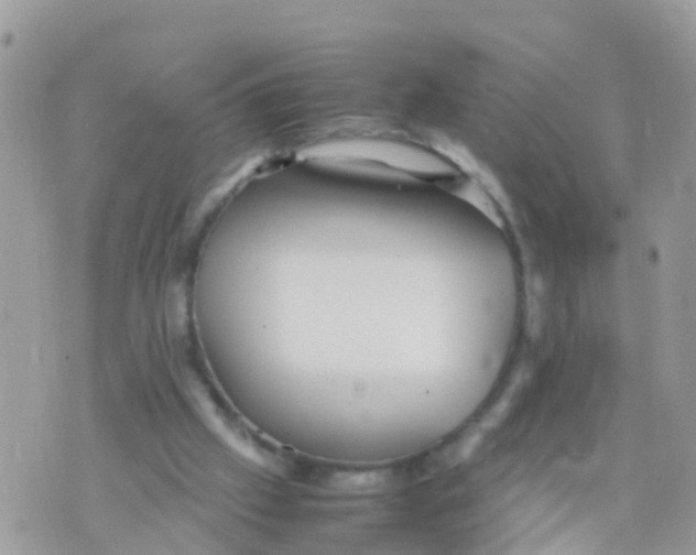 X0000070390057200606301956