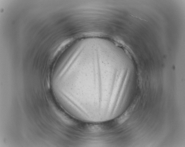 X0000070390062200606301956