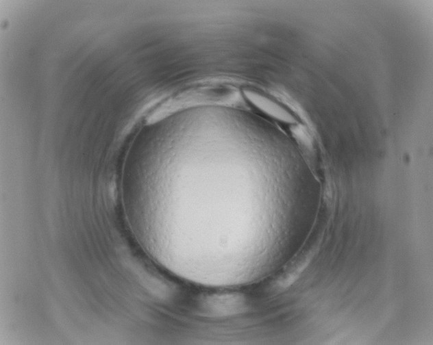 X0000070390063200606301956