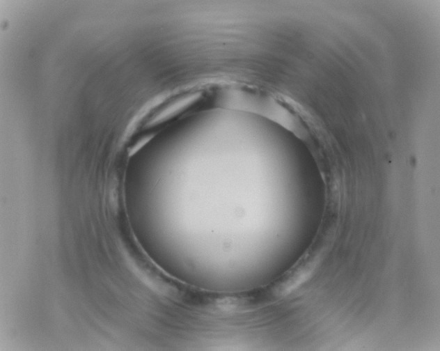 X0000070390064200606301956