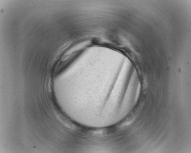 X0000070390068200606301957