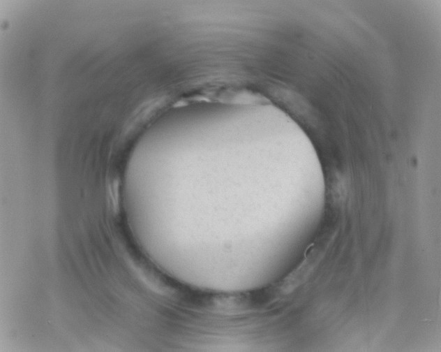 X0000070390070200606301957