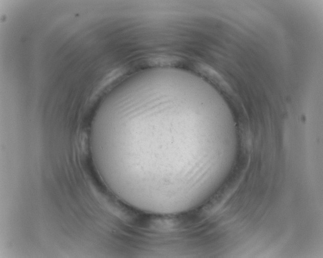 X0000070390071200606301957