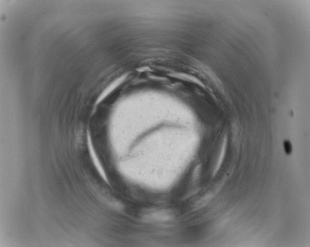 X0000070390073200606301957