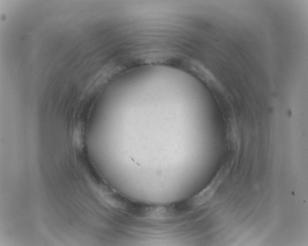 X0000070390074200606301957