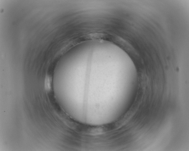 X0000070390075200606301957