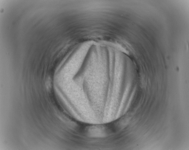 X0000070390077200606301957