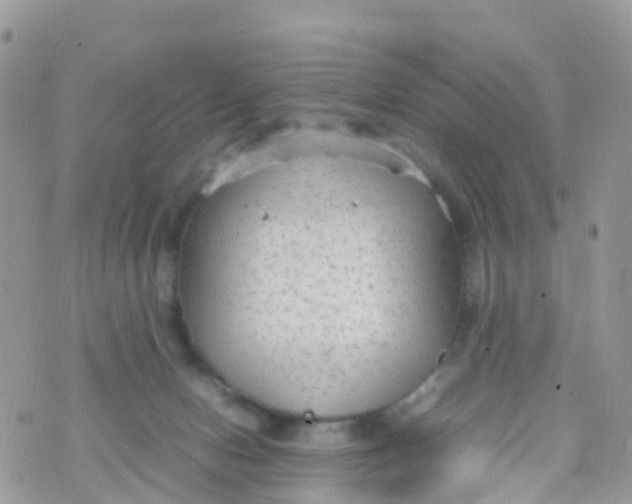 X0000070390078200606301957