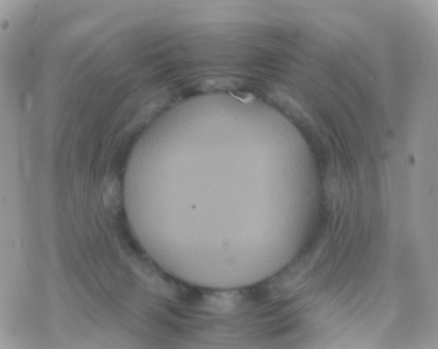 X0000070390079200606301957