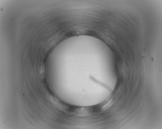 X0000070390082200606301957