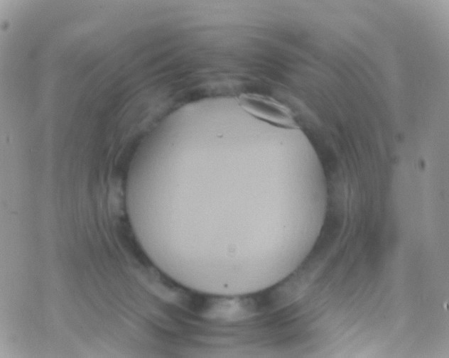 X0000070390083200606301957