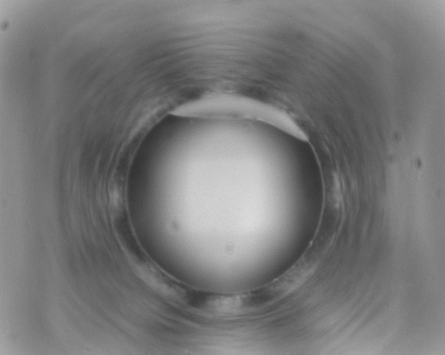 X0000070390084200606301957