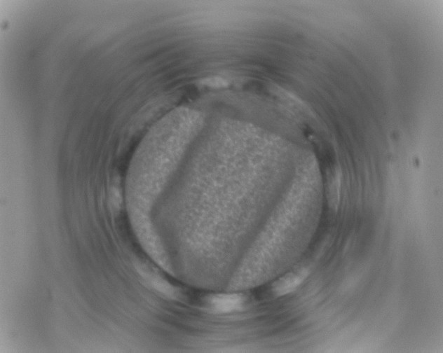 X0000070390085200606301957