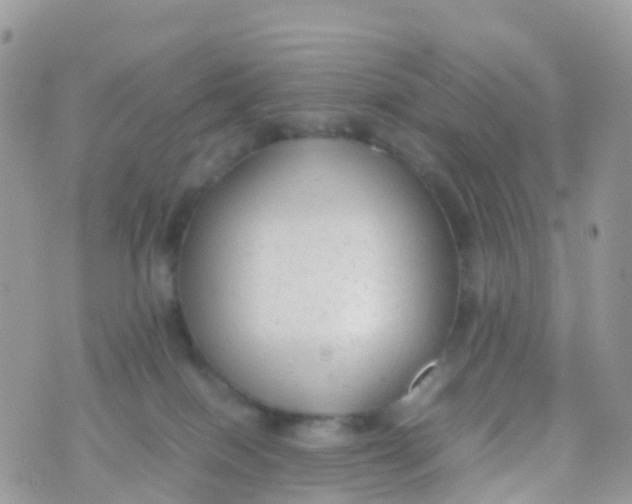 X0000070390086200606301957