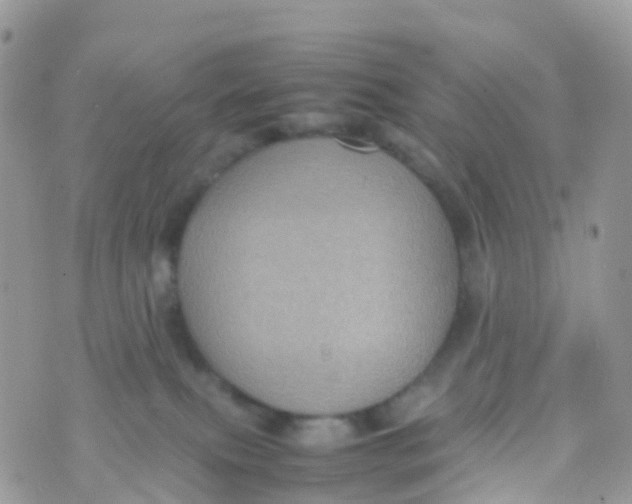 X0000070390087200606301957