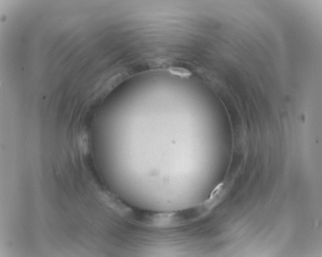 X0000070390090200606301957