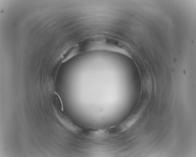 X0000070390092200606301957