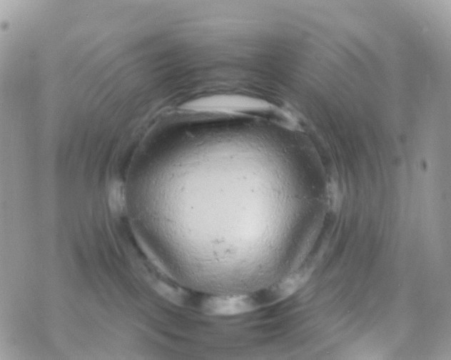 X0000070390093200606301957