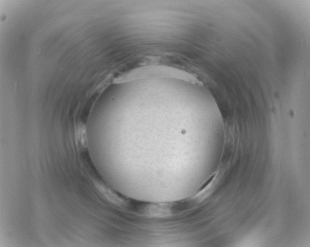 X0000070390094200606301957