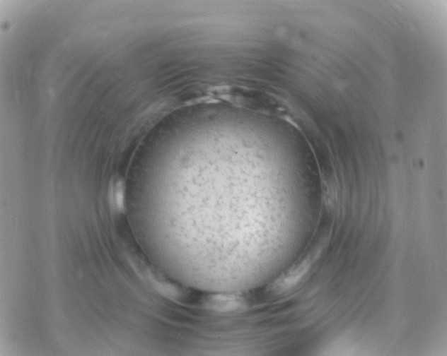 X0000070390095200606301957