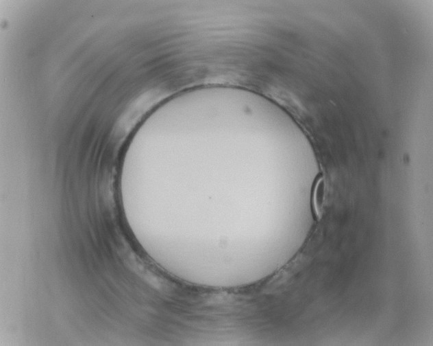 X0000070390098200606301956