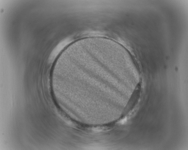 X0000070390103200606301956