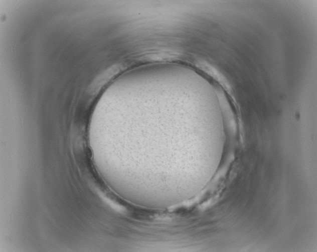 X0000070390105200606301956