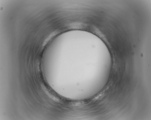 X0000070390106200606301956