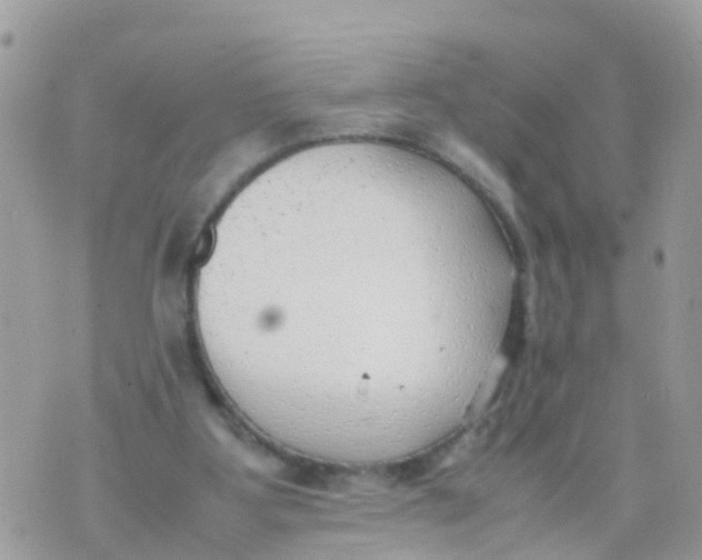 X0000070390107200606301956