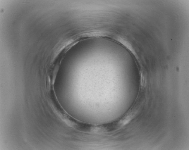 X0000070390109200606301956