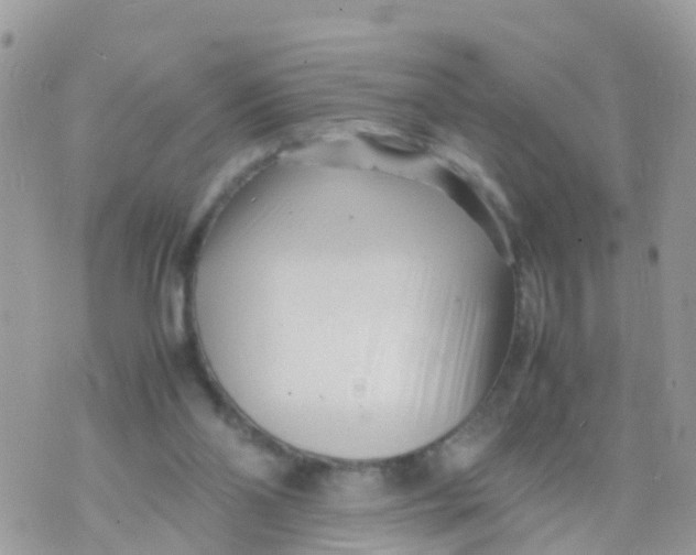 X0000070390110200606301956